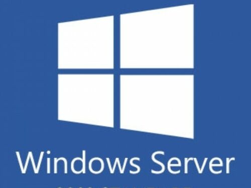 windows server standard 2022
